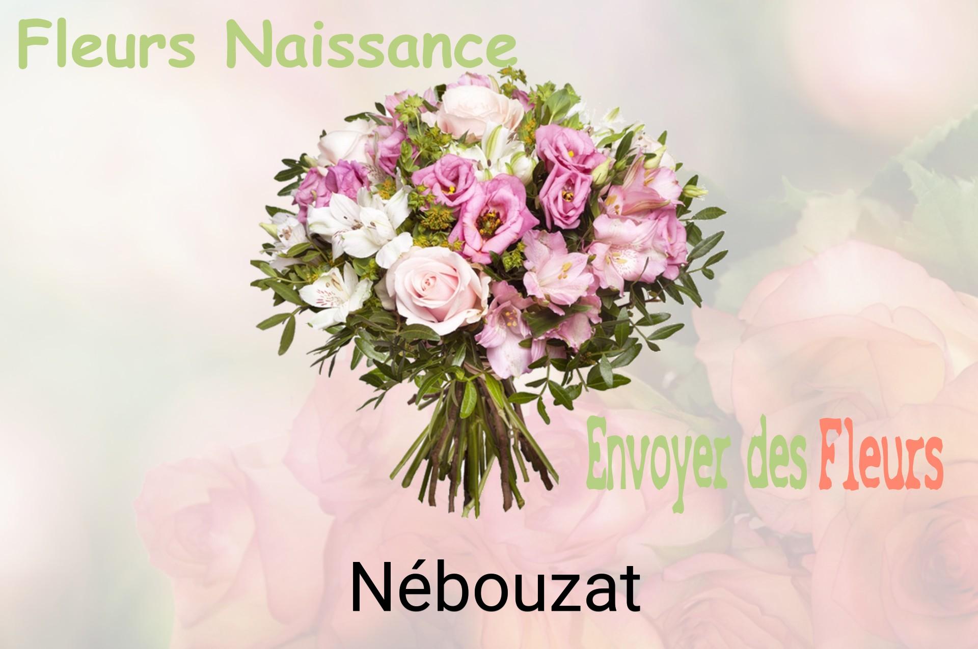 Bouquet de fleurs de naissance livré à Nébouzat